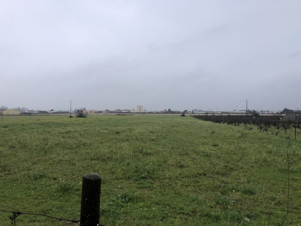 Tomt i Alpiarca, Santarem - bilde 3
