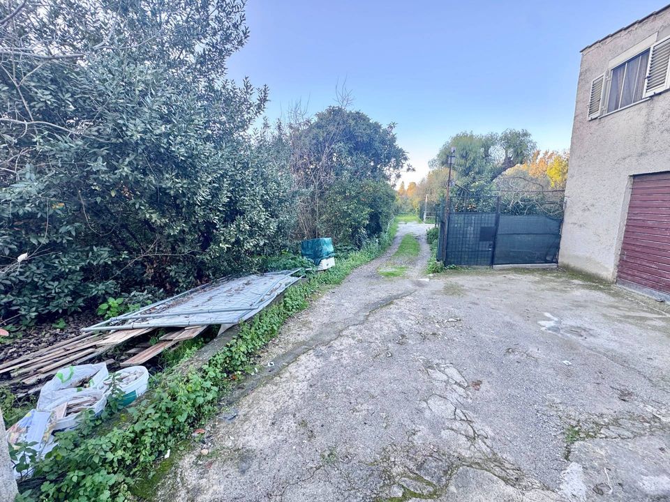 Helårsgrund i Palermo, Palermo - foto 3