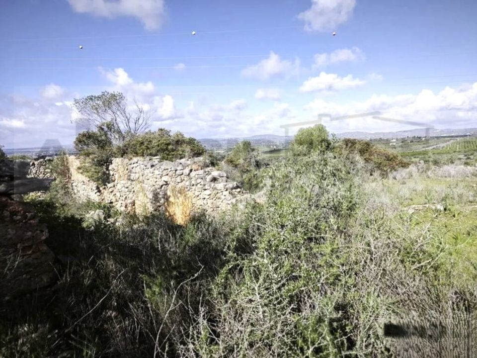 Ruinere i Tunes, Faro - foto 1