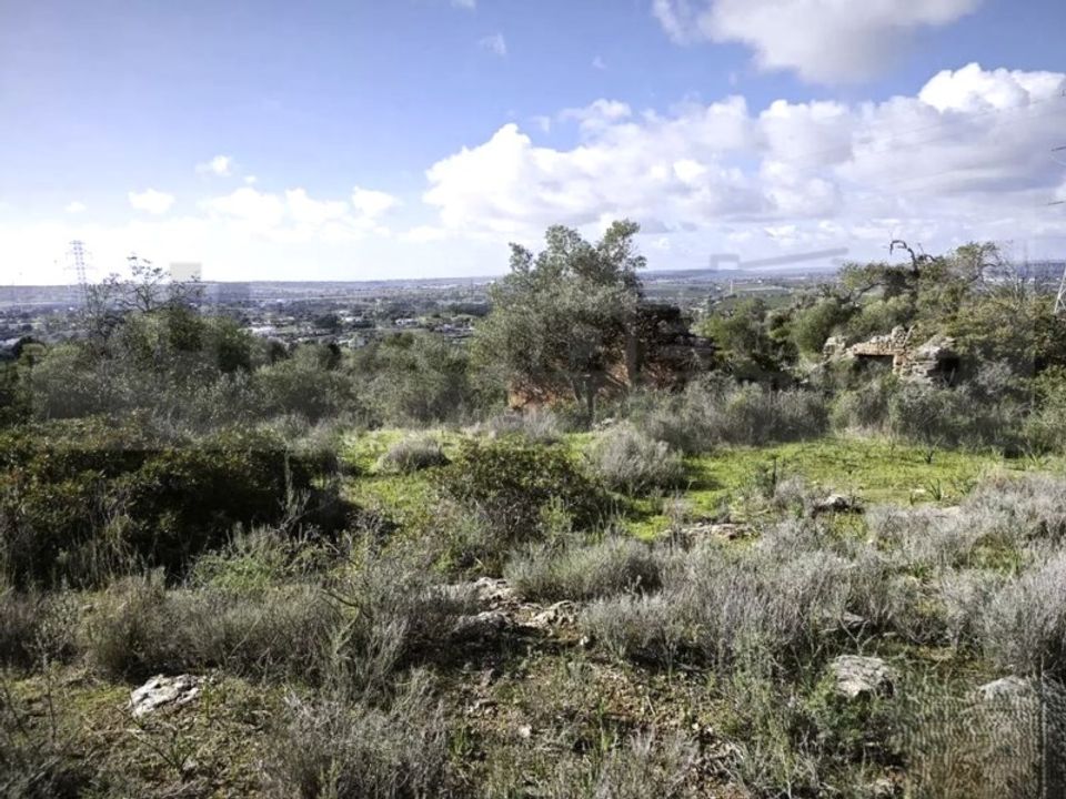 Ruinere i Tunes, Faro - foto 4
