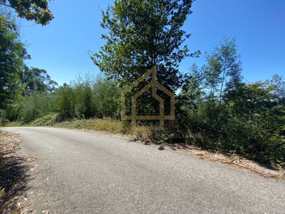 Ruinere i Paredes de Coura, Viana do Castelo - foto 4