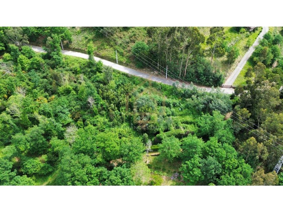 Ruinere i Paredes de Coura, Viana do Castelo - foto 1