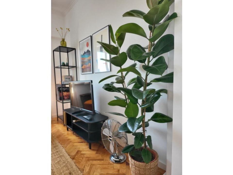 Apartament a Alges, Lisbon - foto 5