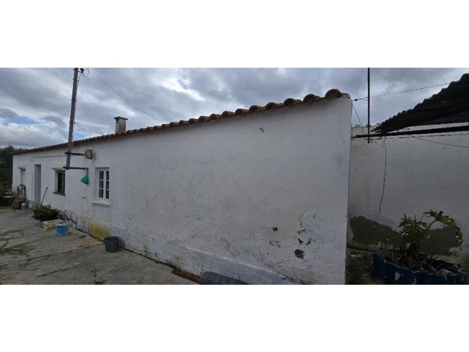 Helårsgrund i Ermidas do Sado, Setubal - foto 5