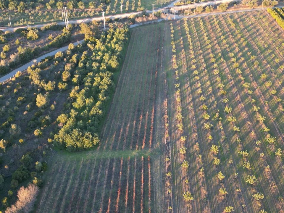 Helårsgrund i Algoz, Faro - foto 4