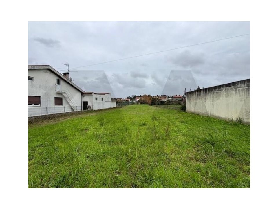 Helårsgrund i Anadia, Aveiro - foto 2