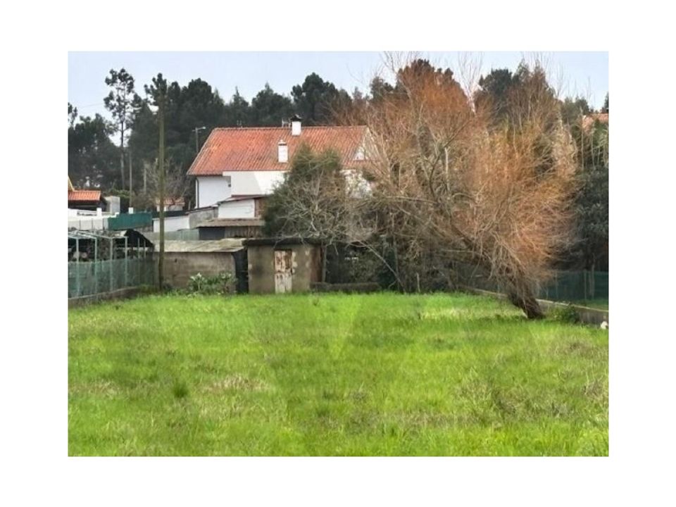 Helårsgrund i Anadia, Aveiro - foto 4