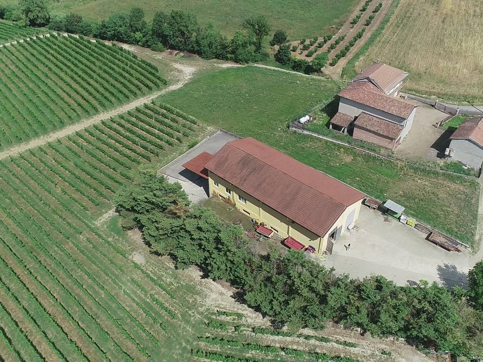 Farm i Isola D'Asti, Asti - foto 1