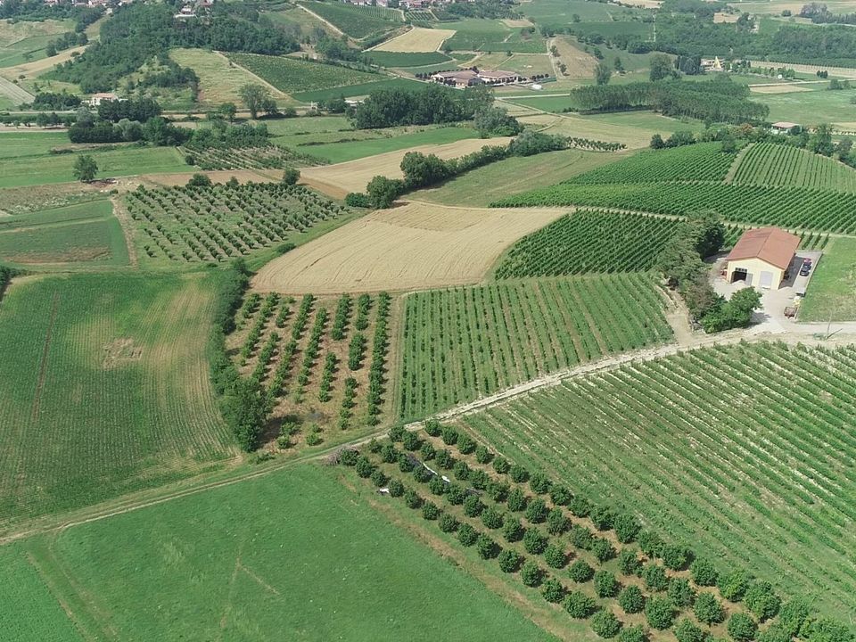 Farm i Isola D'Asti, Asti - foto 2