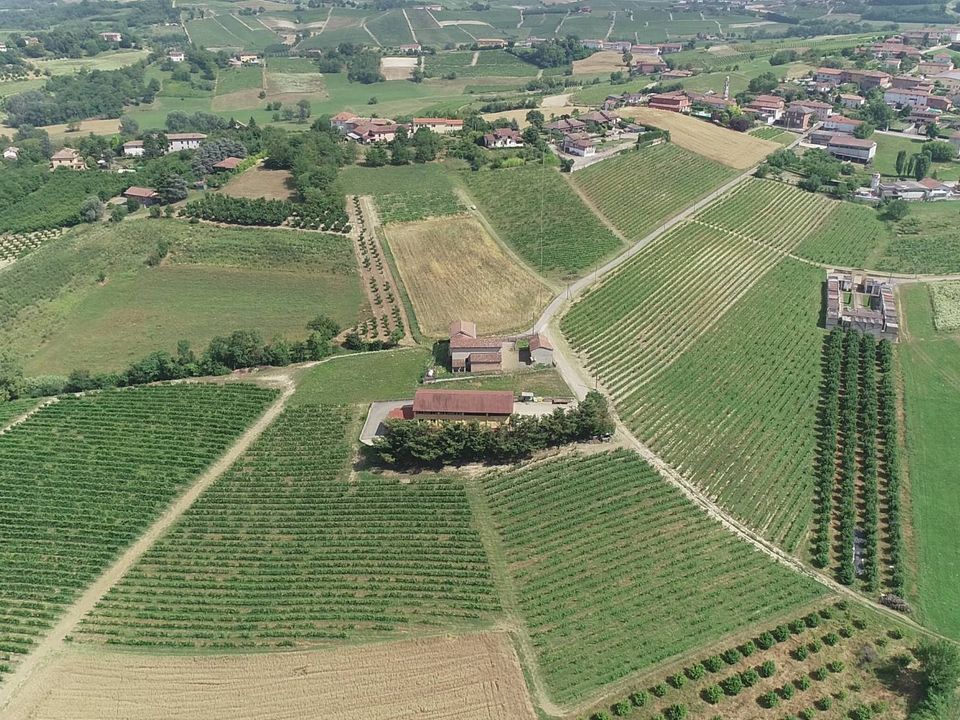 Farm i Isola D'Asti, Asti - foto 3