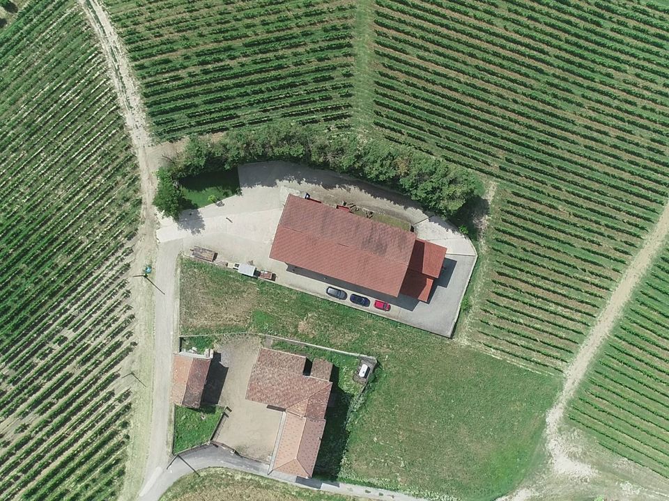 Farm i Isola D'Asti, Asti - foto 4