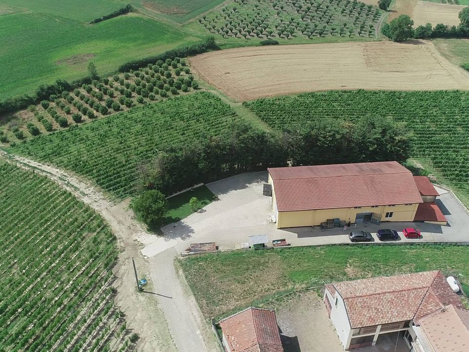 Farm i Isola D'Asti, Asti - foto 5