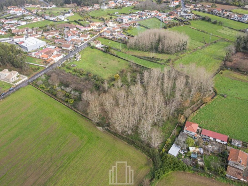Helårsgrund i Sao Miguel de Souto, Aveiro - foto 4