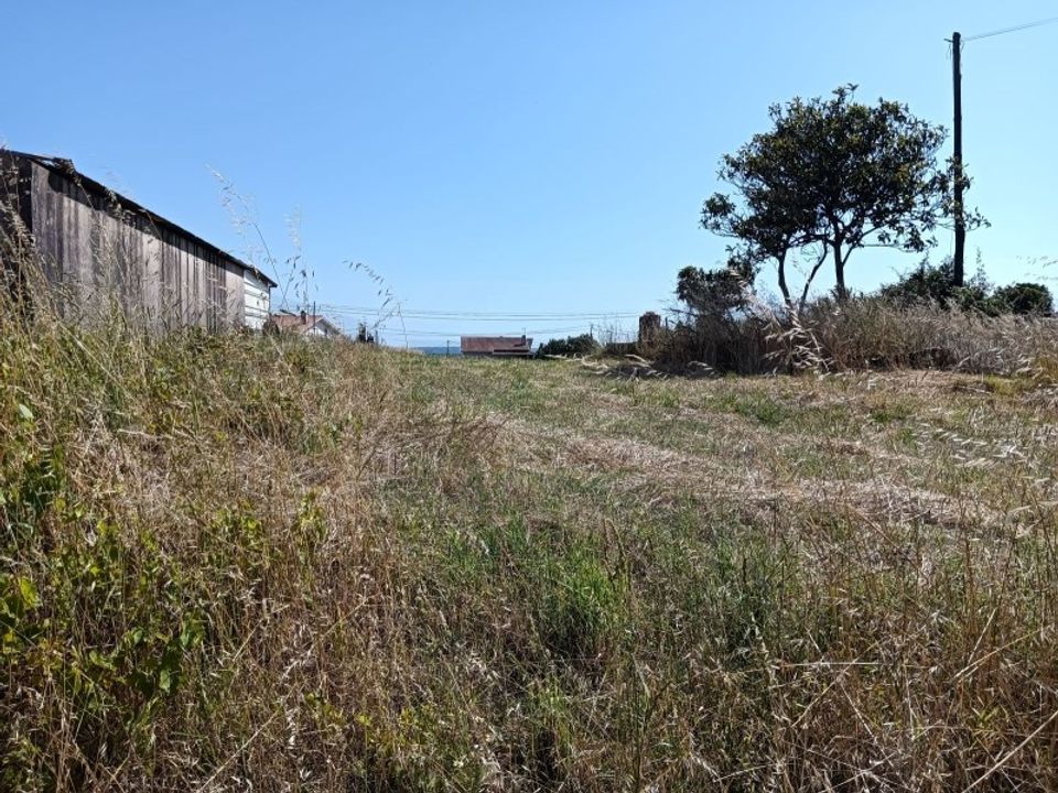 Helårsgrund i Estarreja, Aveiro - foto 4