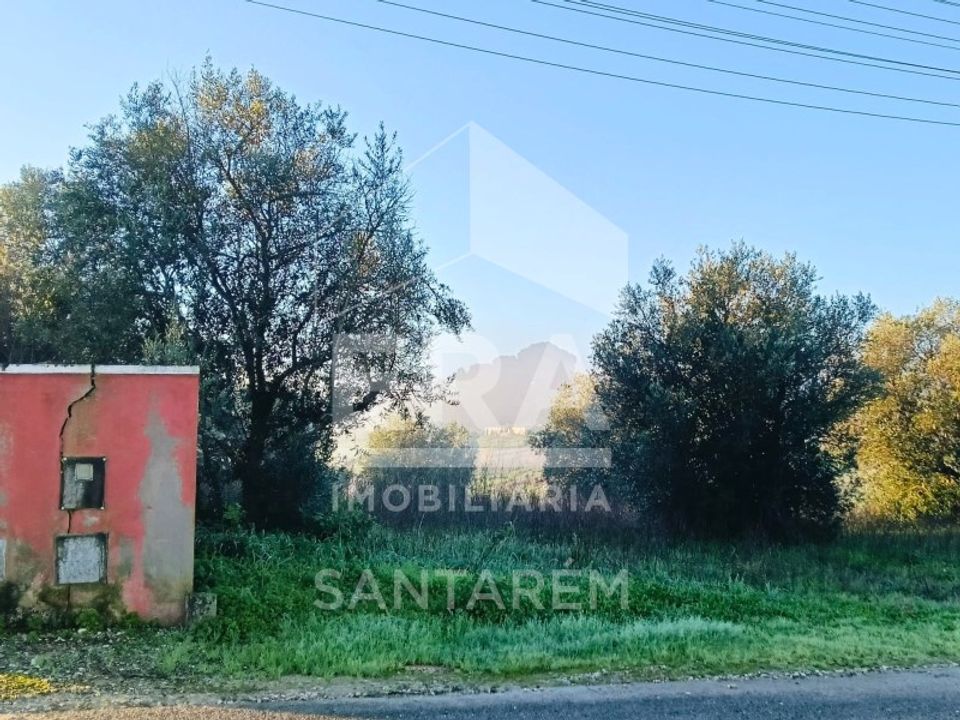 Helårsgrund i Alcanhoes, Santarem - foto 1