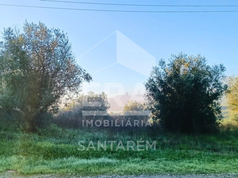 Helårsgrund i Alcanhoes, Santarem - foto 3