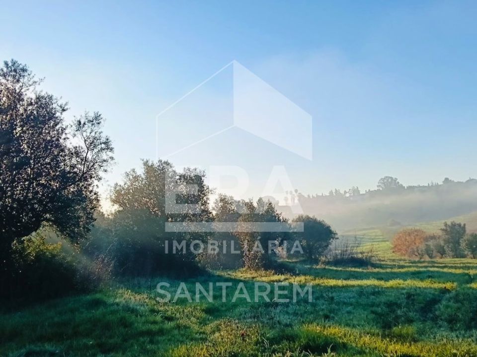 Helårsgrund i Alcanhoes, Santarem - foto 5