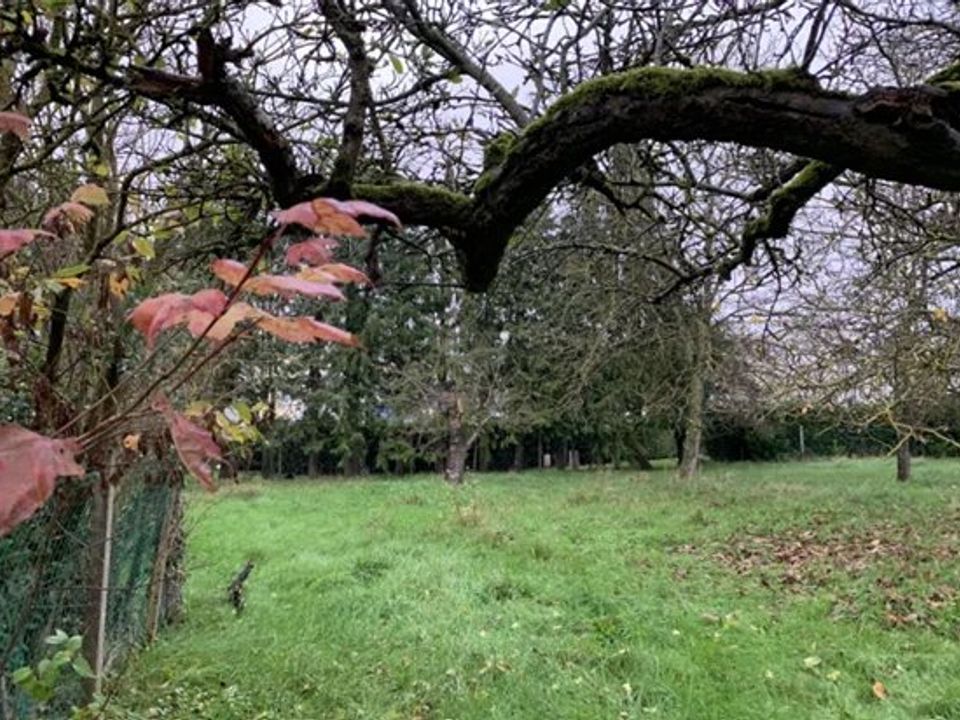 Terra a Coignières, Yvelines - foto 4