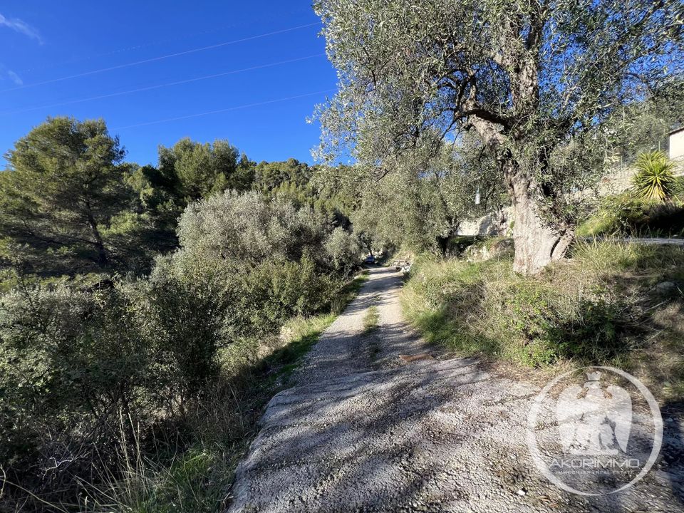 Terreno en Saint-André-de-la-Roche, Alpes-Maritimes - foto 4