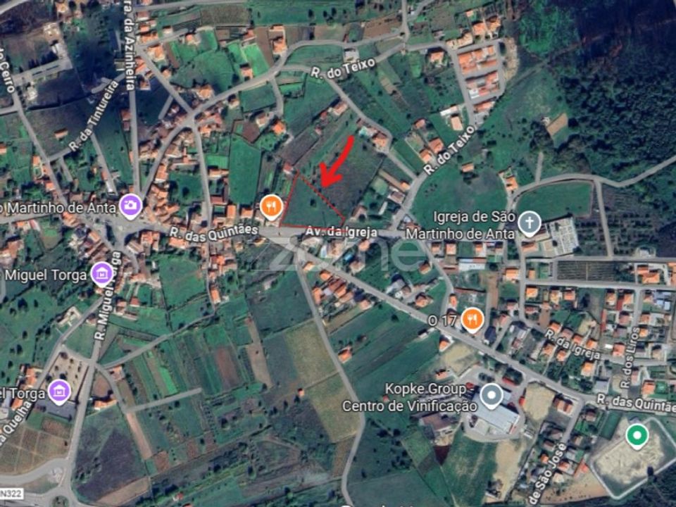 Helårsgrund i Sabrosa, Vila Real - foto 1