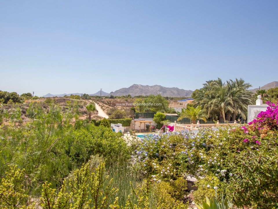Landejendom i Albatera, Alicante - foto 3