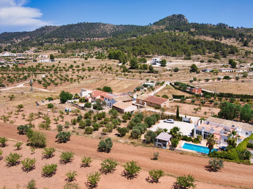 Masia a Alicante, Alicante - foto 3