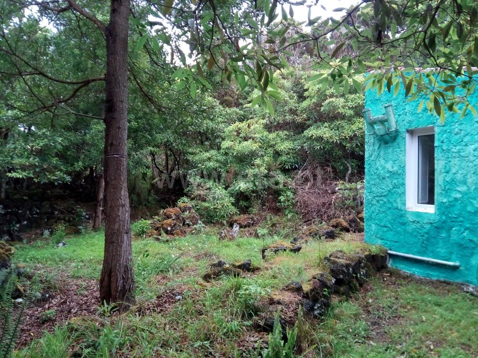 Helårsgrund i Madalena, Pico - foto 5