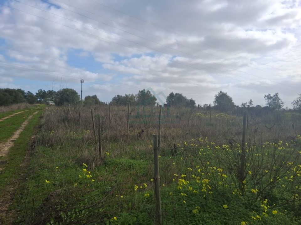 Helårsgrund i Palmela, Setubal - foto 5