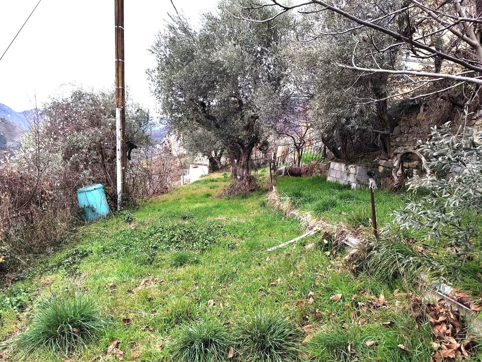 Landejendom i Castellet-lès-Sausses, Alpes-de-Haute-Provence - foto 4