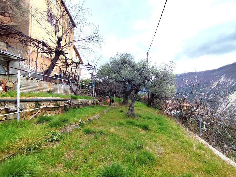 Landejendom i Castellet-lès-Sausses, Alpes-de-Haute-Provence - foto 5
