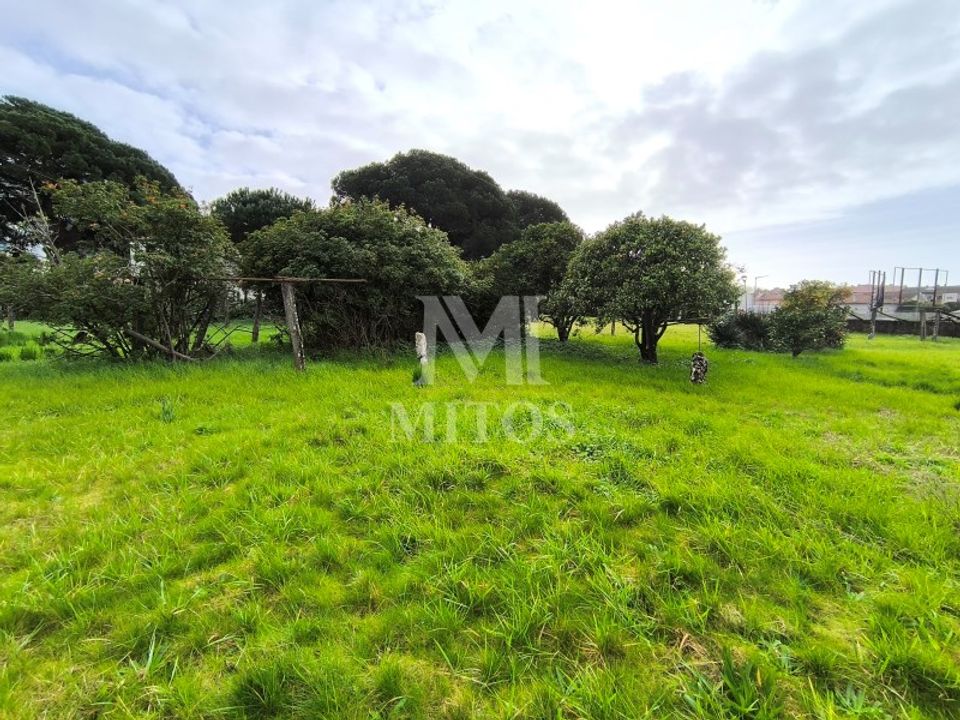 Granja a Darque, Viana do Castelo - foto 3
