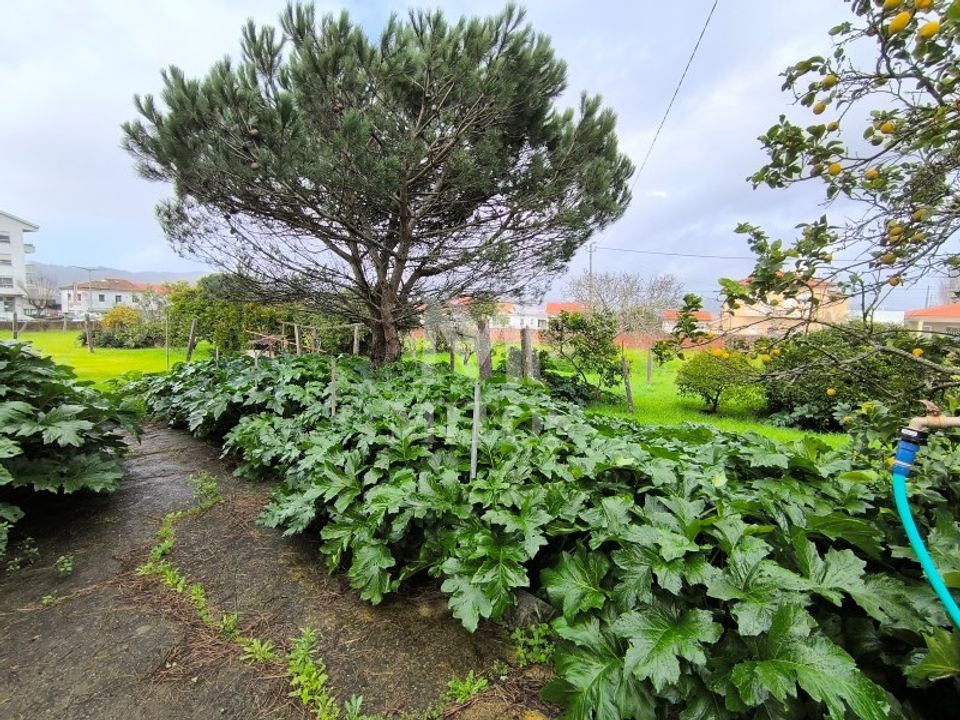 Granja a Darque, Viana do Castelo - foto 4