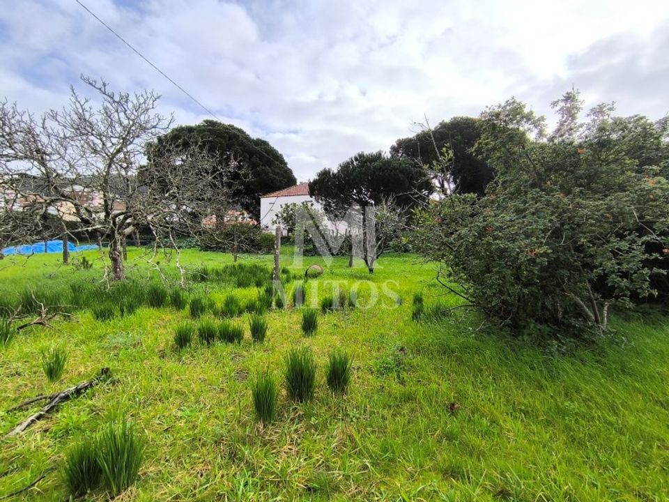 Granja a Darque, Viana do Castelo - foto 5