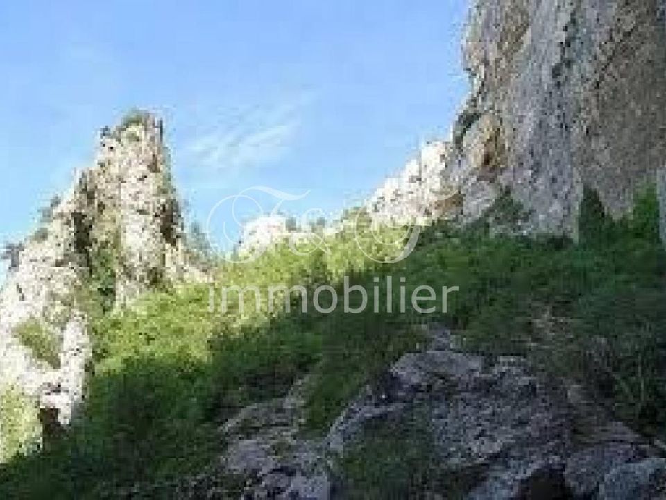 Terra a Fontaine-de-Vaucluse, Vaucluse - foto 5