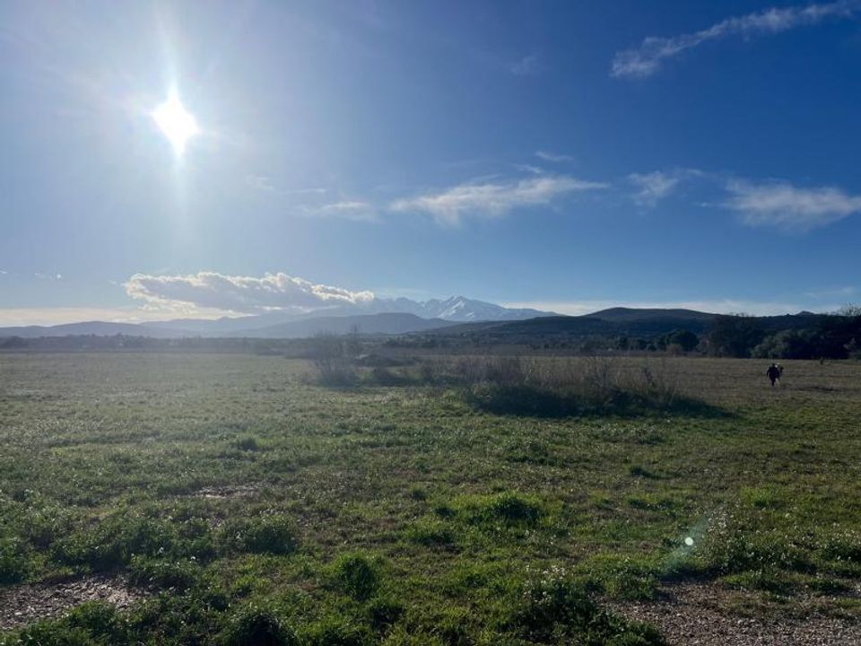 Helårsgrund i Llupia, Pyrenees-Orientales - foto 2