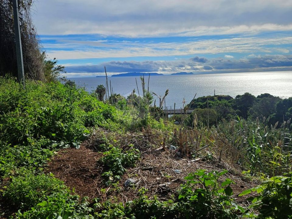 Helårsgrund i Santa Cruz, Madeira - foto 3