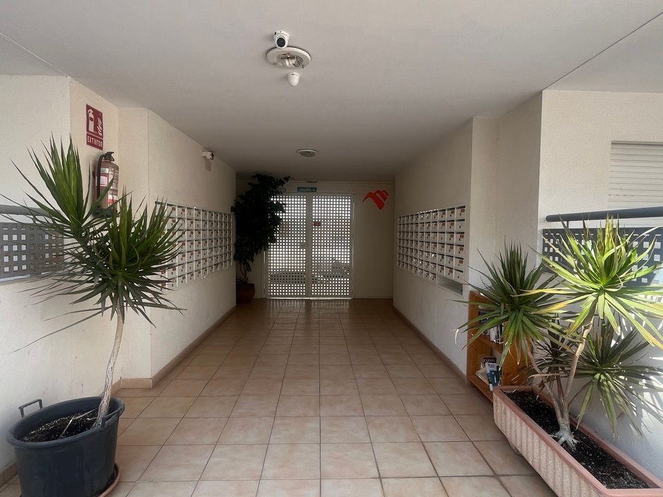 Lejlighed i Almoradi, Alicante - foto 3