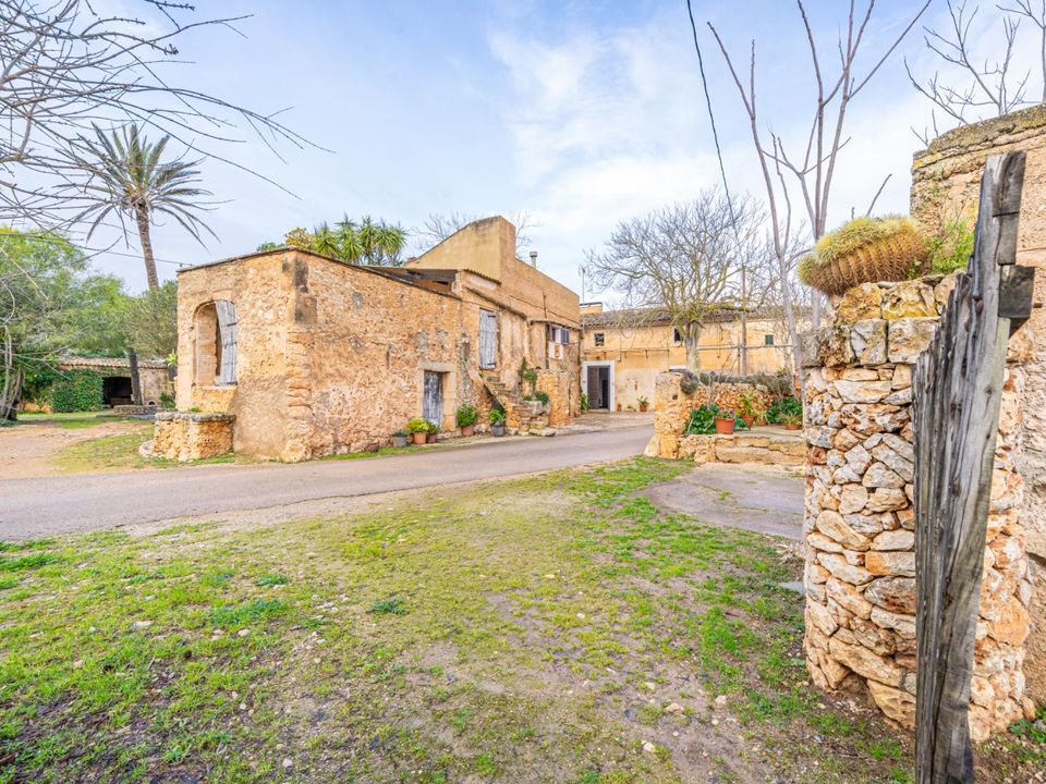 Landejendom i Felanitx, Mallorca - foto 3