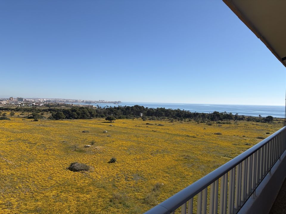 Penthouse i Punta Prima, Alicante - bilde 5
