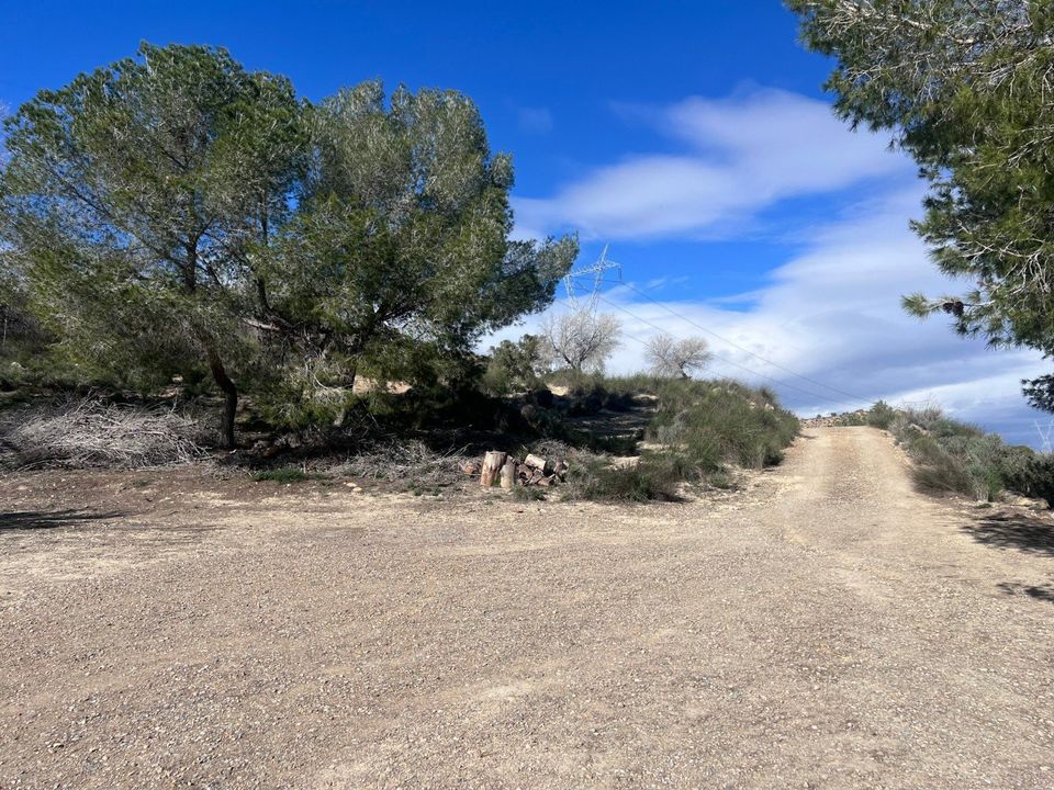 Landejendom i Torremendo, Alicante - foto 3