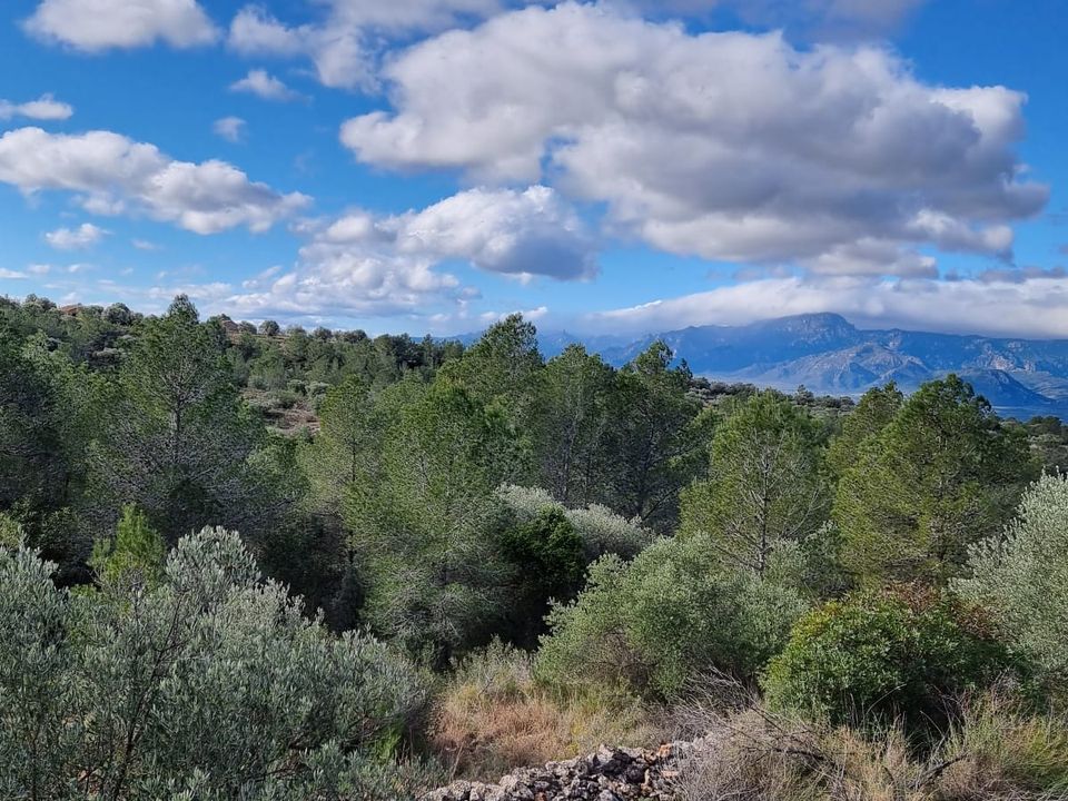 Finca i Tivenys, Tarragona - foto 2