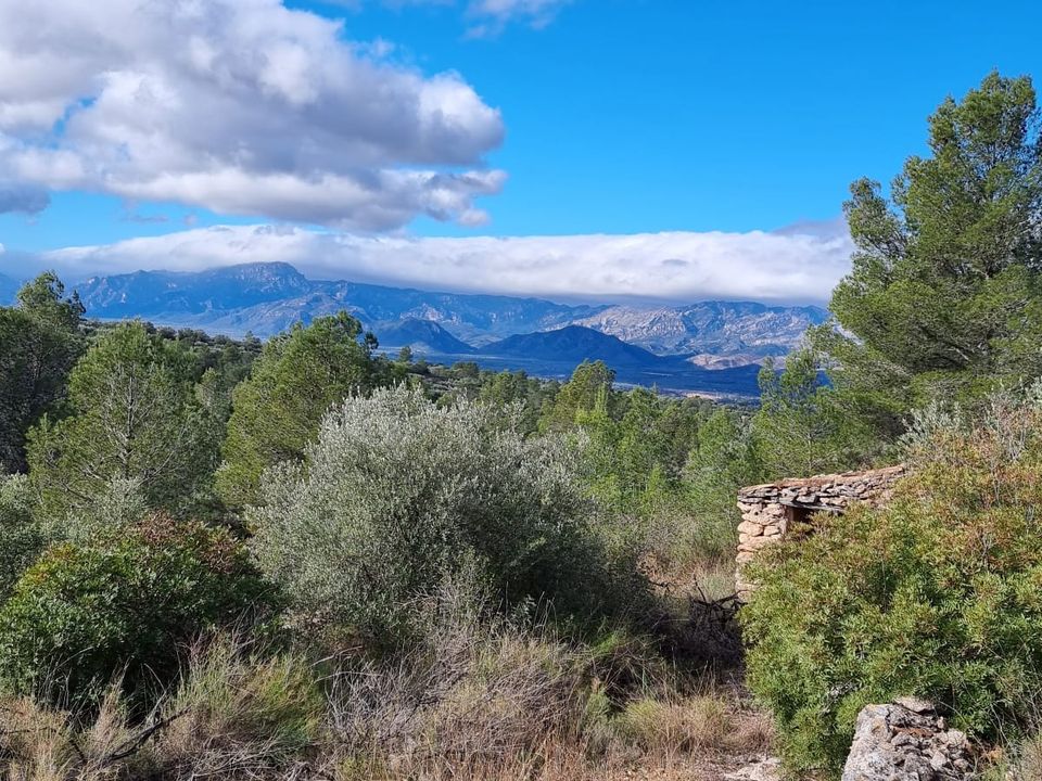 Finca i Tivenys, Tarragona - foto 4