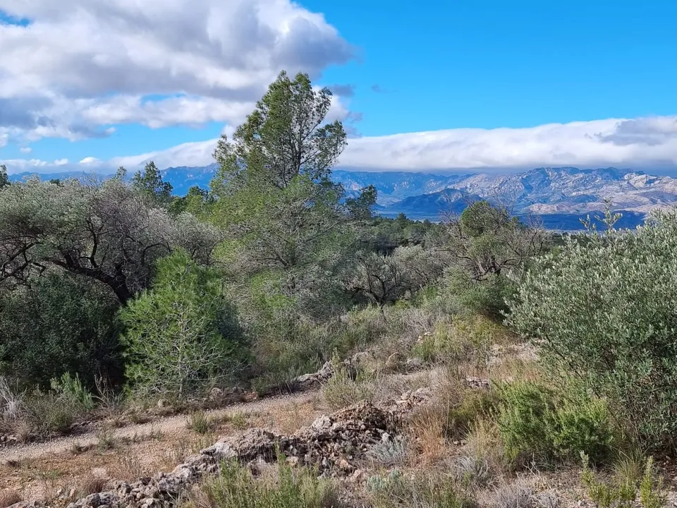 Finca i Tivenys, Tarragona - foto 3