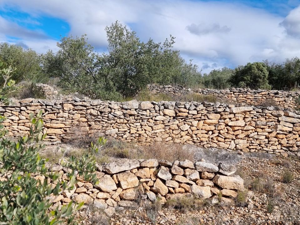 Finca i Tivenys, Tarragona - foto 5