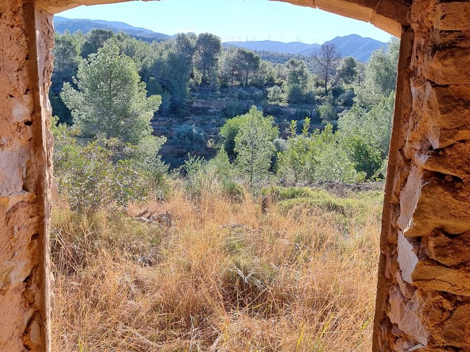 Finca i Tivenys, Tarragona - foto 5