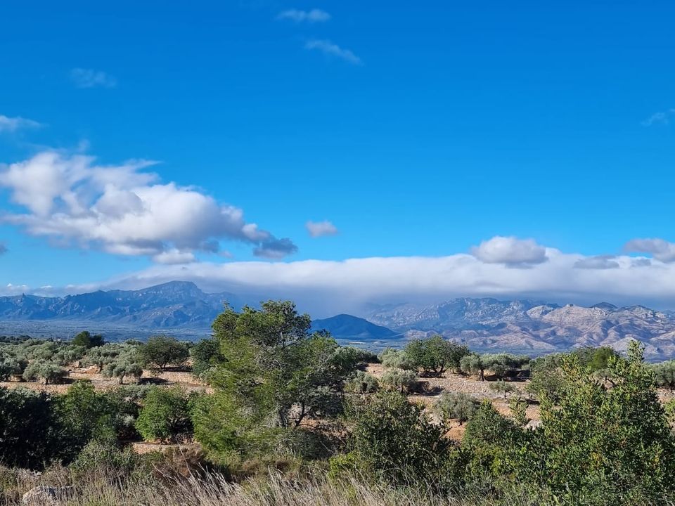 Finca i Tivenys, Tarragona - foto 2