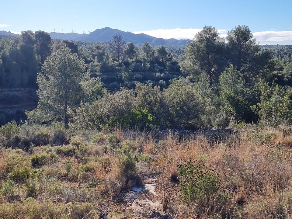 Finca i Tivenys, Tarragona - foto 3