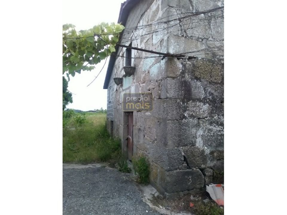 Farm i Guimaraes, Braga - foto 3