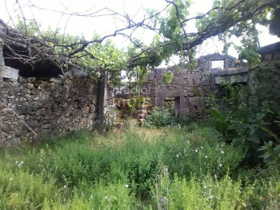 Farm i Guimaraes, Braga - foto 5