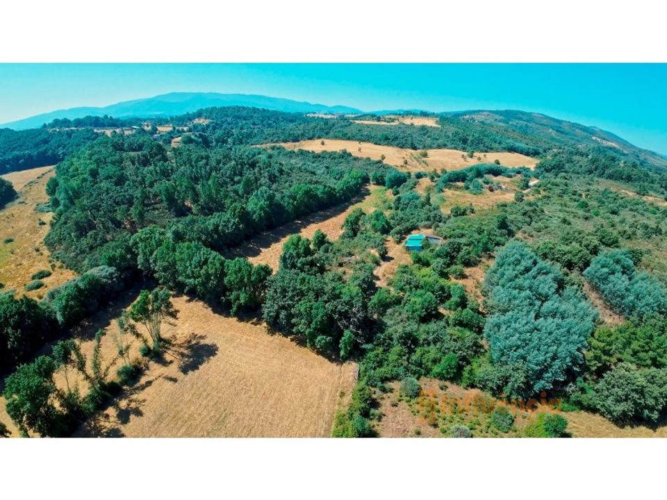 Helårsgrund i Fundao, Castelo Branco - foto 5